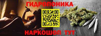 мяу мяу мука Новозыбков
