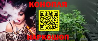 мяу мяу мука Новозыбков
