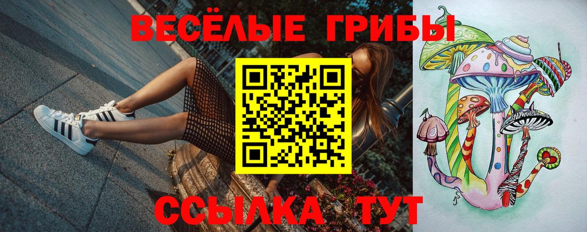 Галлюциногенные грибы Psilocybine cubensis Северобайкальск
